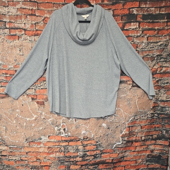 Terra & Sky Sweaters - Terra & Sky Women's Light Gray Cowl Neck Sweater, 3X
